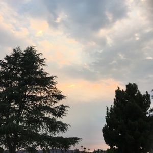 Meet your Posher, Tanya